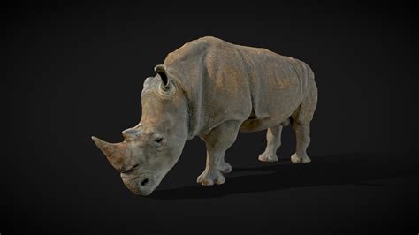 rhino 3d|rhino 3d free download.